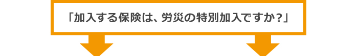 加入する保険は、労災の特別加入ですか？